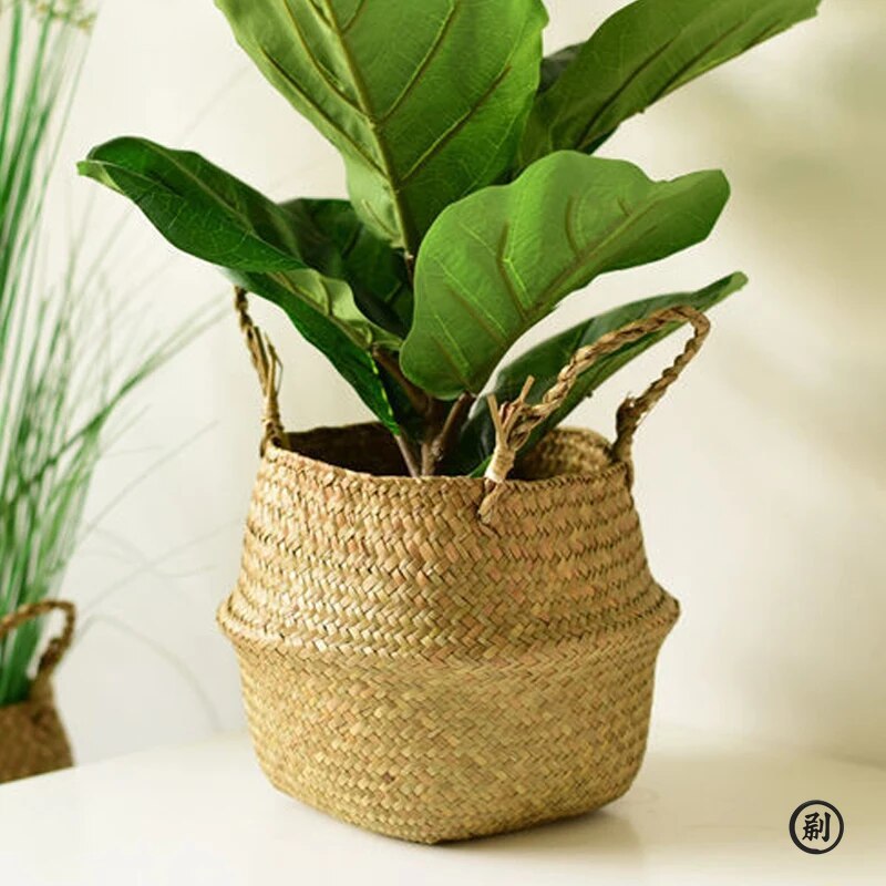 Wicker Basket Toy Organizer Fo - Aloe Vera Pot 리뷰 및 가격